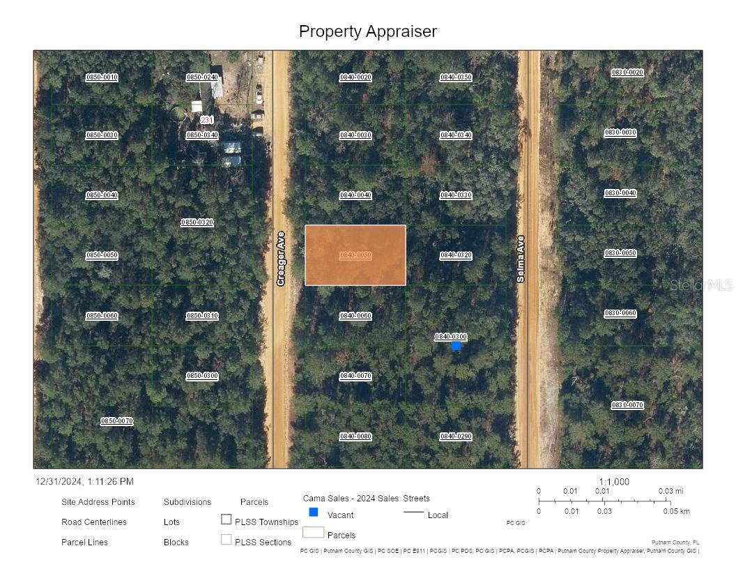 CREAGER AVE, INTERLACHEN, FL, 32148