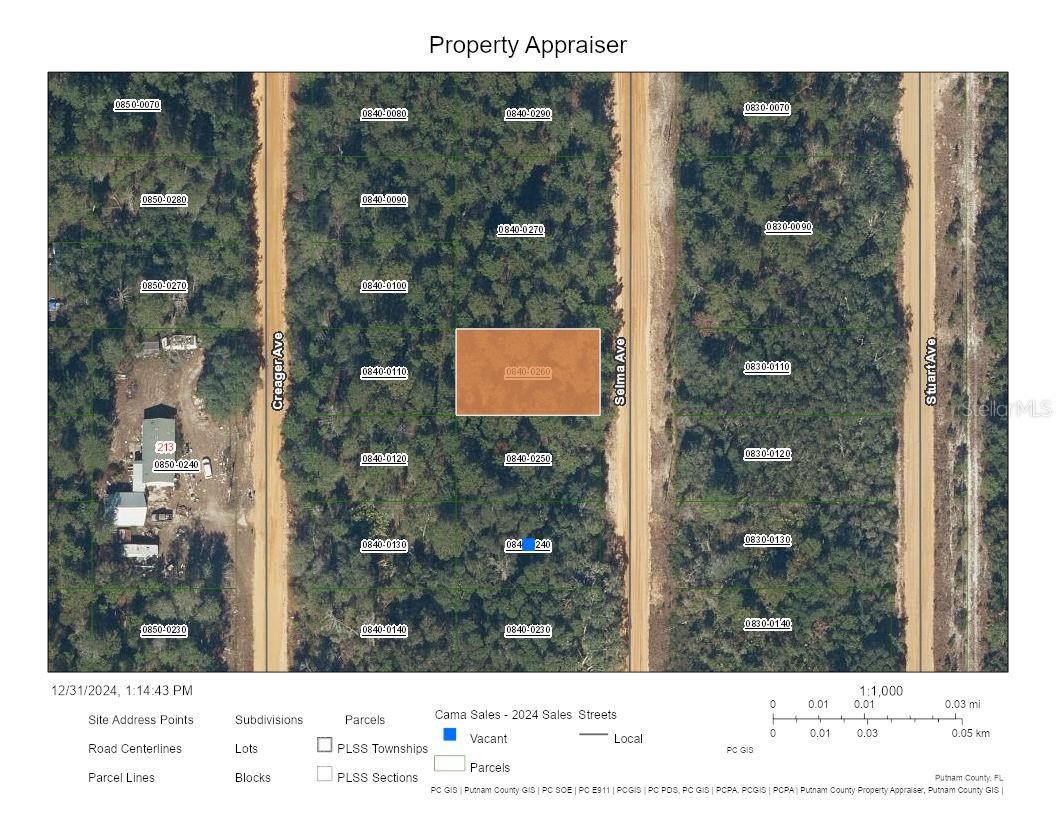 SELMA AVE, INTERLACHEN, FL, 32148