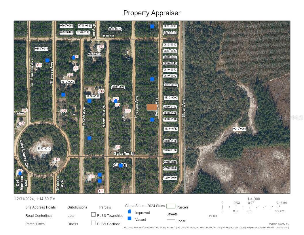 SELMA AVE, INTERLACHEN, FL, 32148