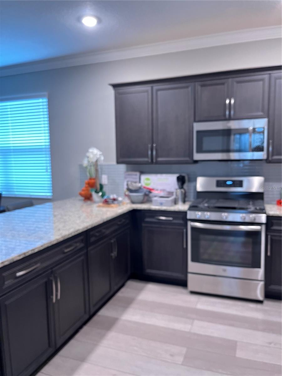 9891 SW 99TH LOOP, OCALA, FL, 34481