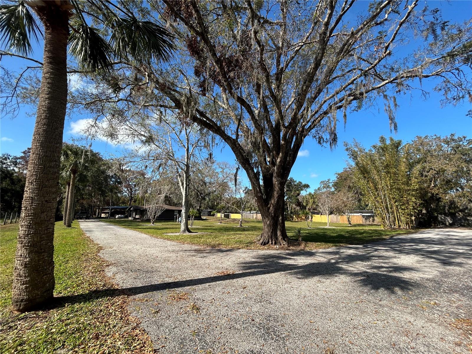 3234 ELLA LN, NEW PORT RICHEY, FL, 34655