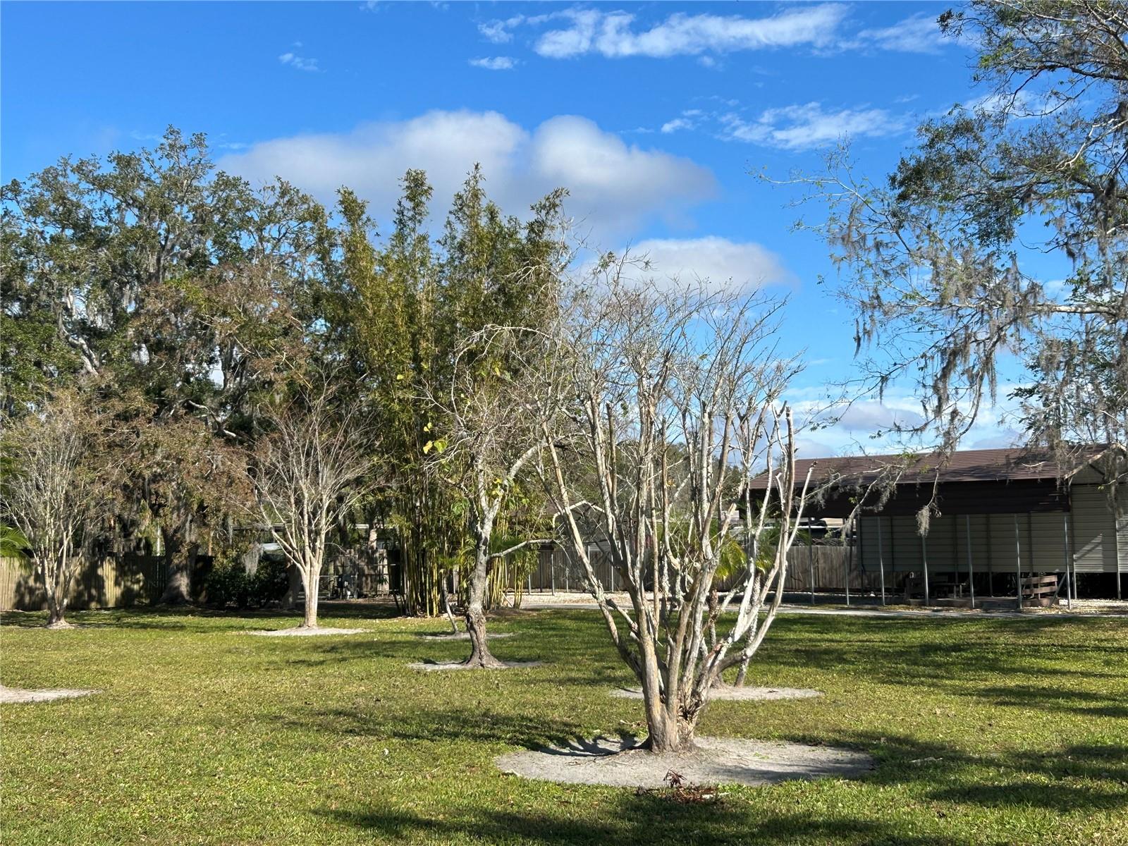 3234 ELLA LN, NEW PORT RICHEY, FL, 34655