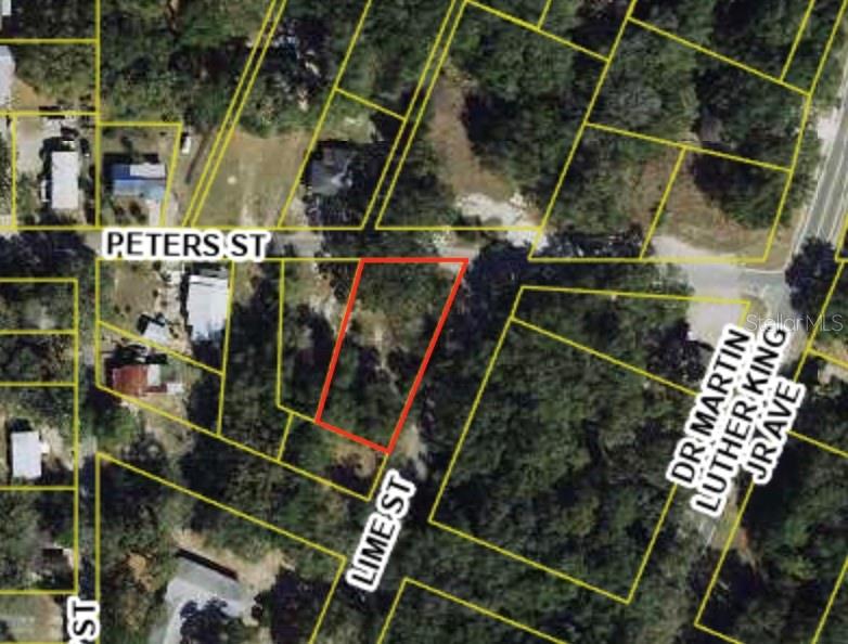 500 PETERS ST, WILDWOOD, FL, 34785