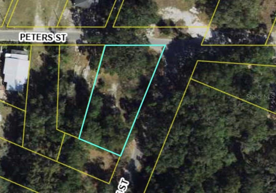 500 PETERS ST, WILDWOOD, FL, 34785