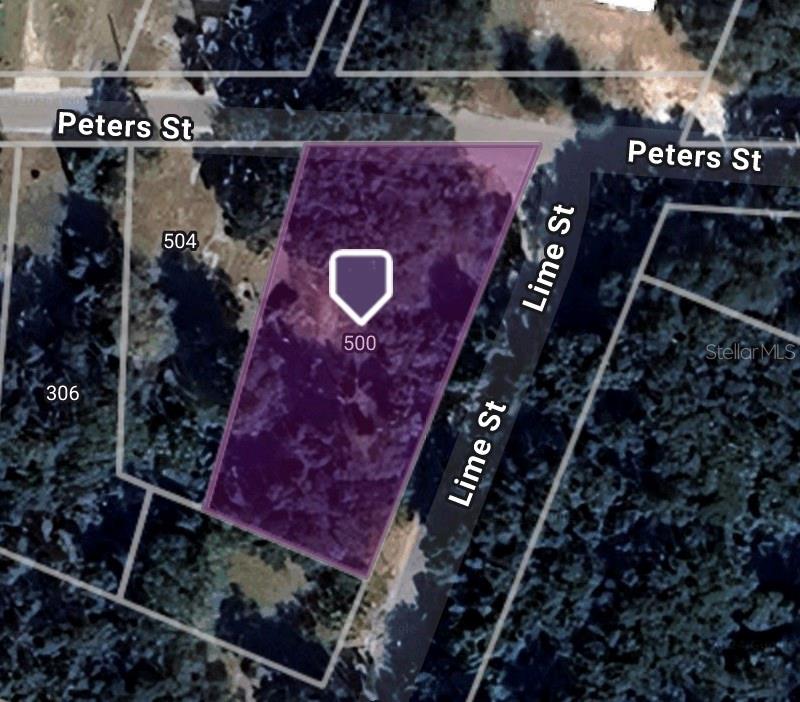 500 PETERS ST, WILDWOOD, FL, 34785
