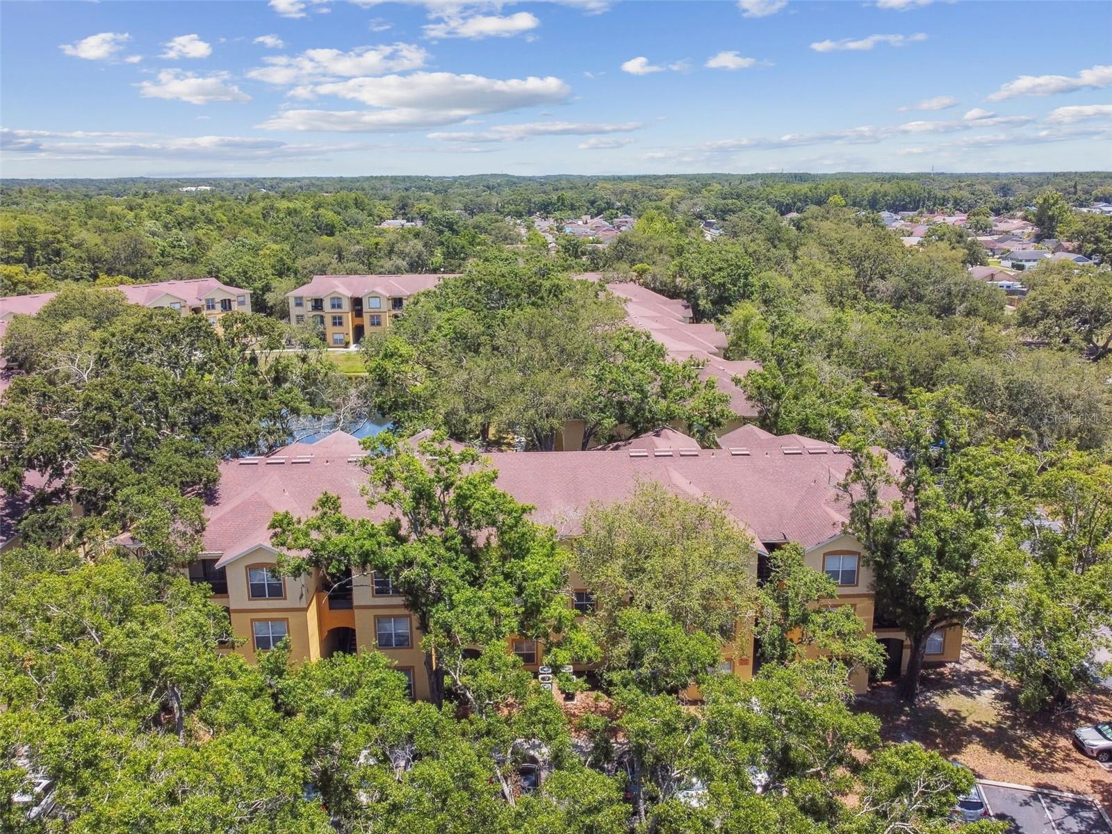5606 PINNACLE HEIGHTS CIR #304, TAMPA, FL, 33624