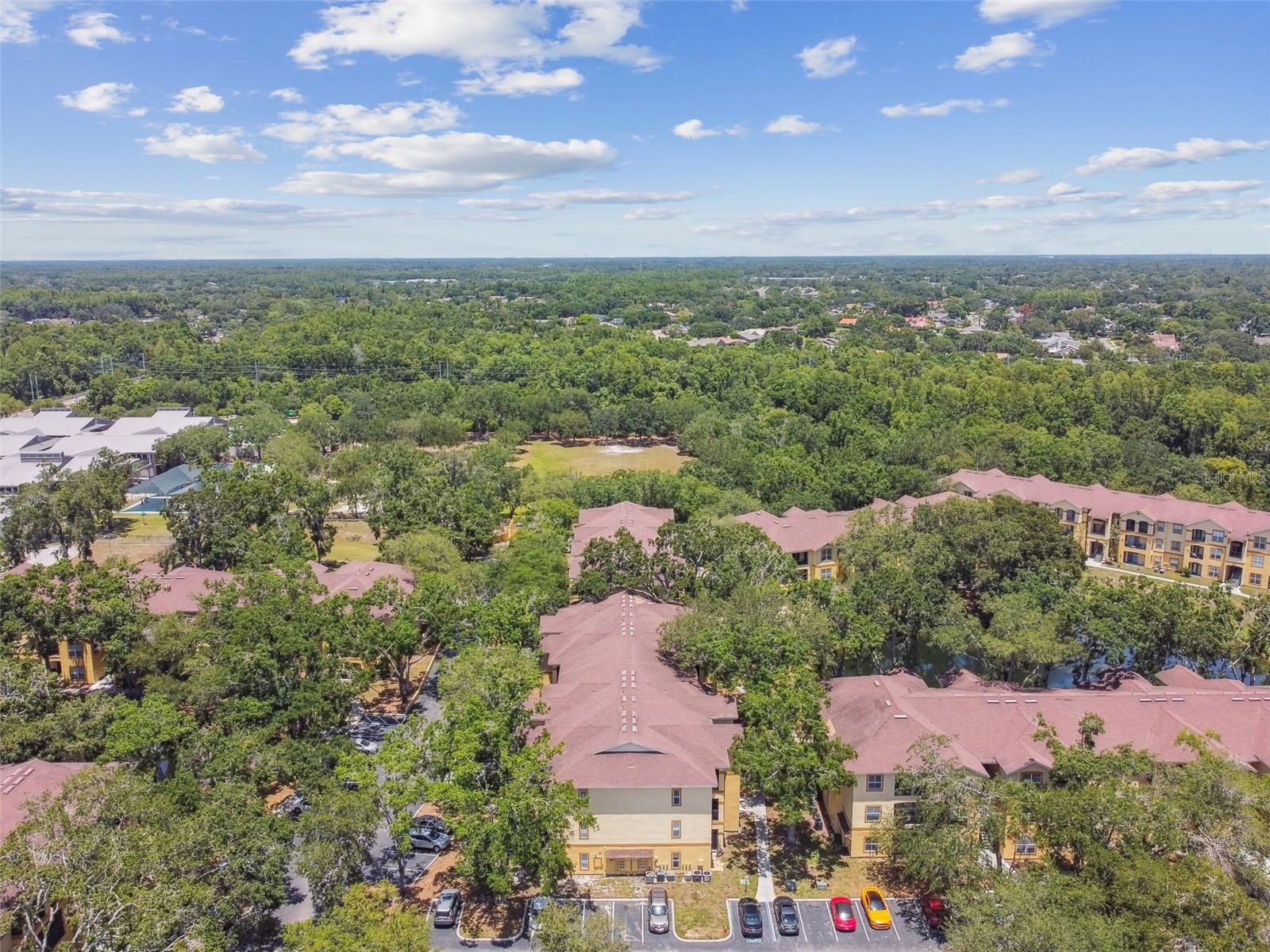 5606 PINNACLE HEIGHTS CIR #304, TAMPA, FL, 33624
