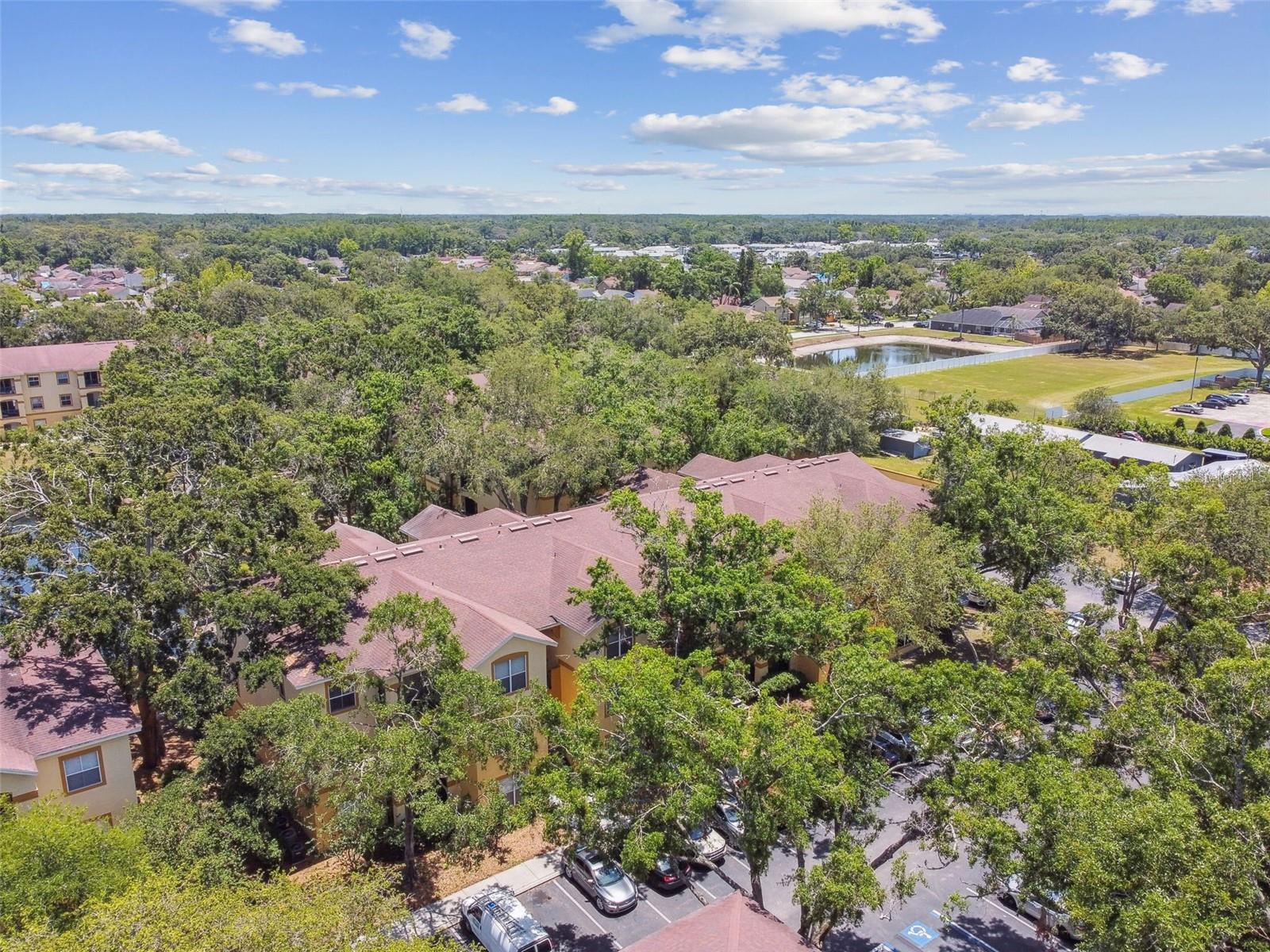 5606 PINNACLE HEIGHTS CIR #304, TAMPA, FL, 33624