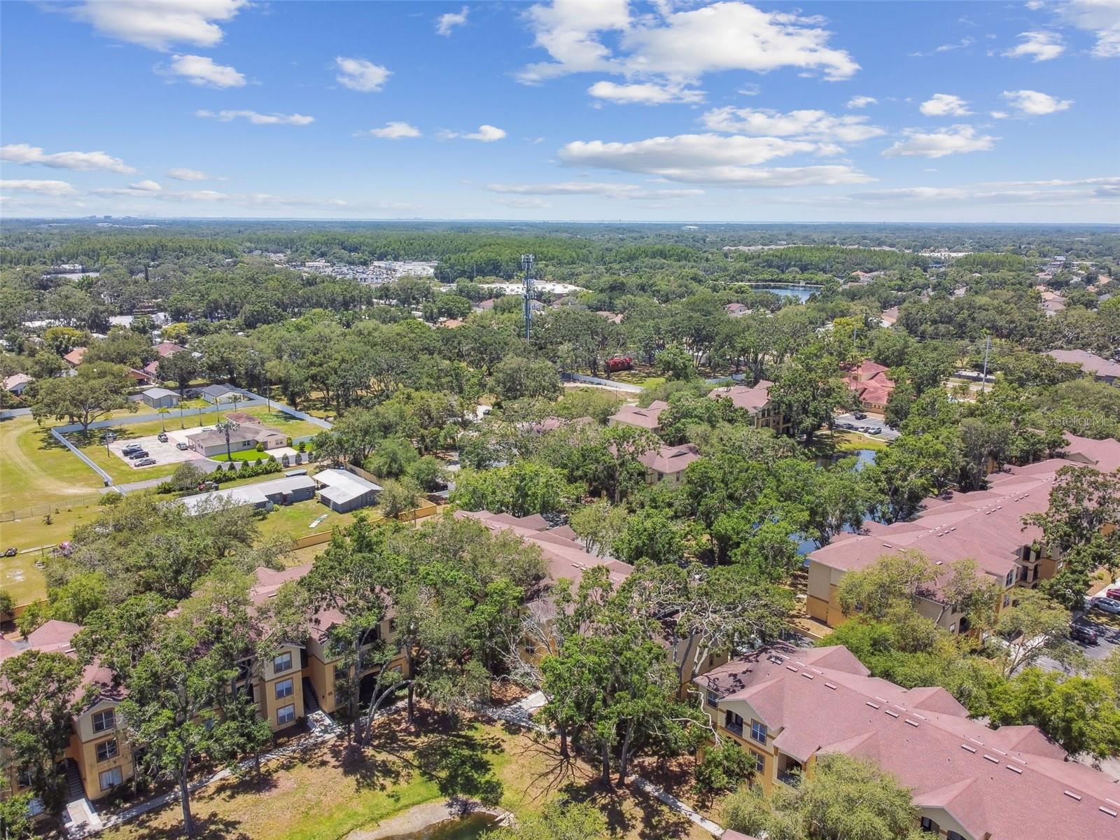 5606 PINNACLE HEIGHTS CIR #304, TAMPA, FL, 33624
