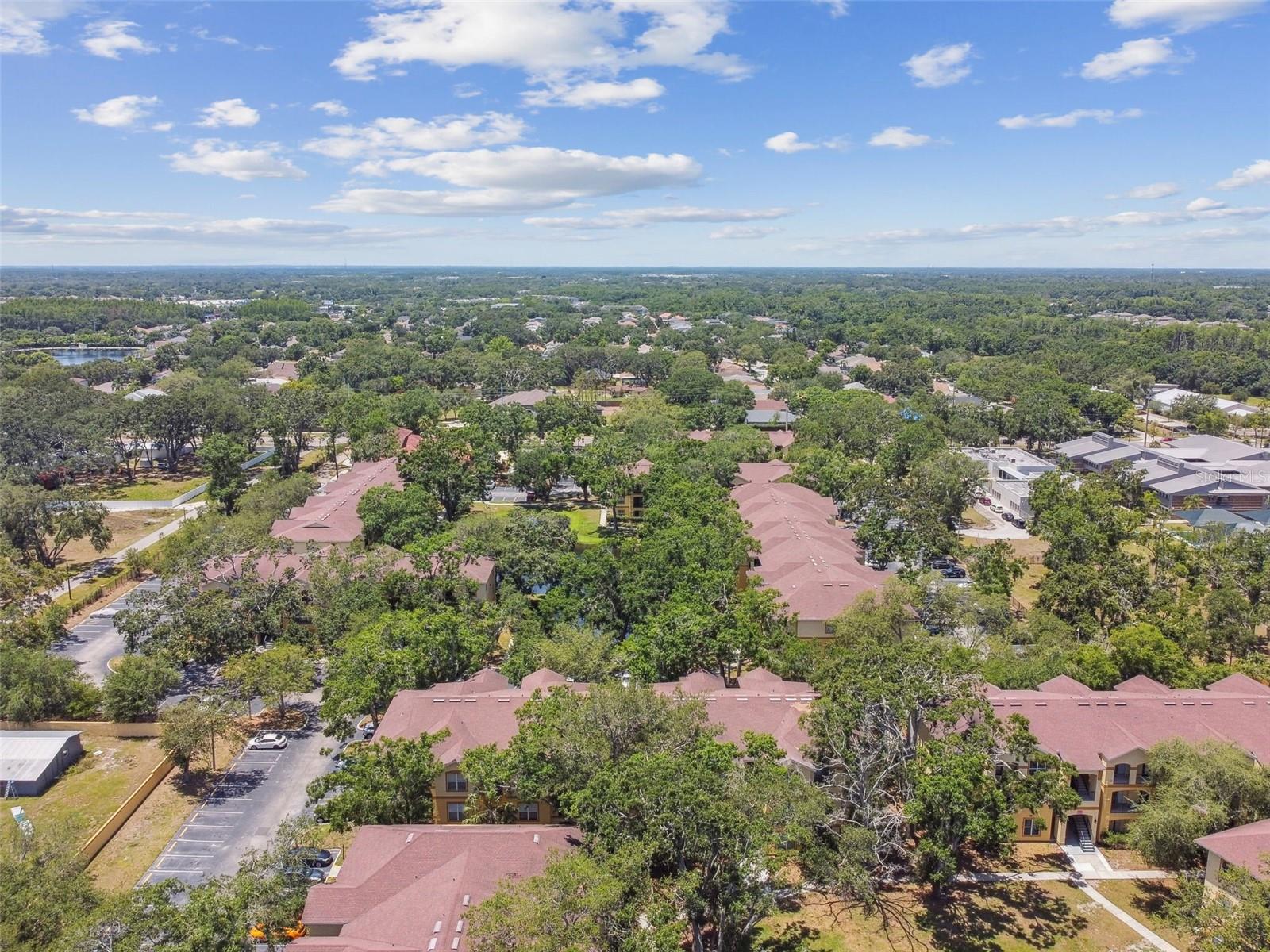 5606 PINNACLE HEIGHTS CIR #304, TAMPA, FL, 33624