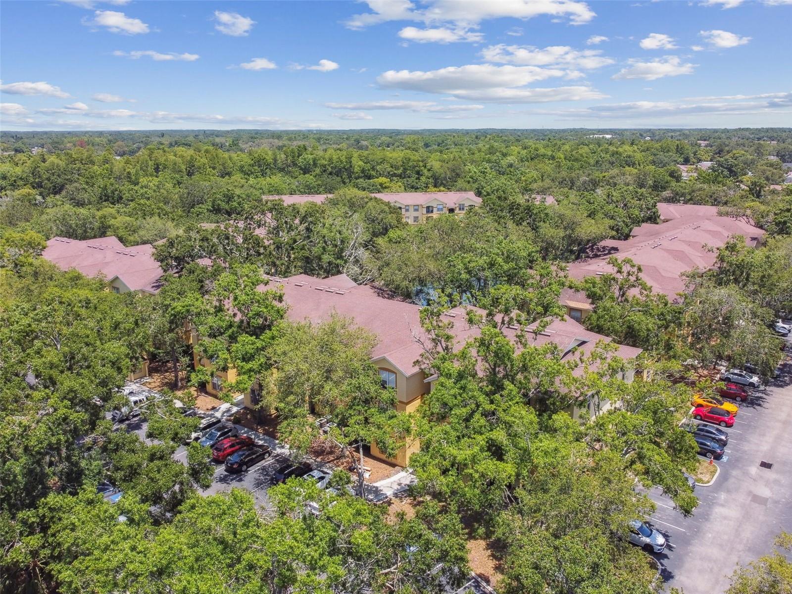 5606 PINNACLE HEIGHTS CIR #304, TAMPA, FL, 33624