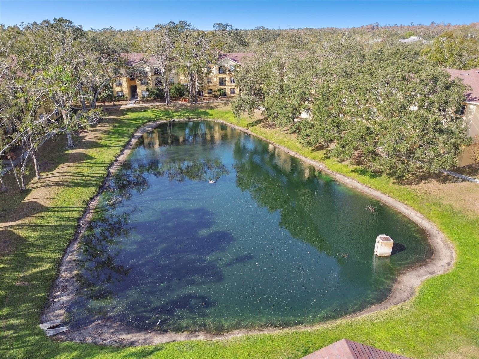 5606 PINNACLE HEIGHTS CIR #304, TAMPA, FL, 33624