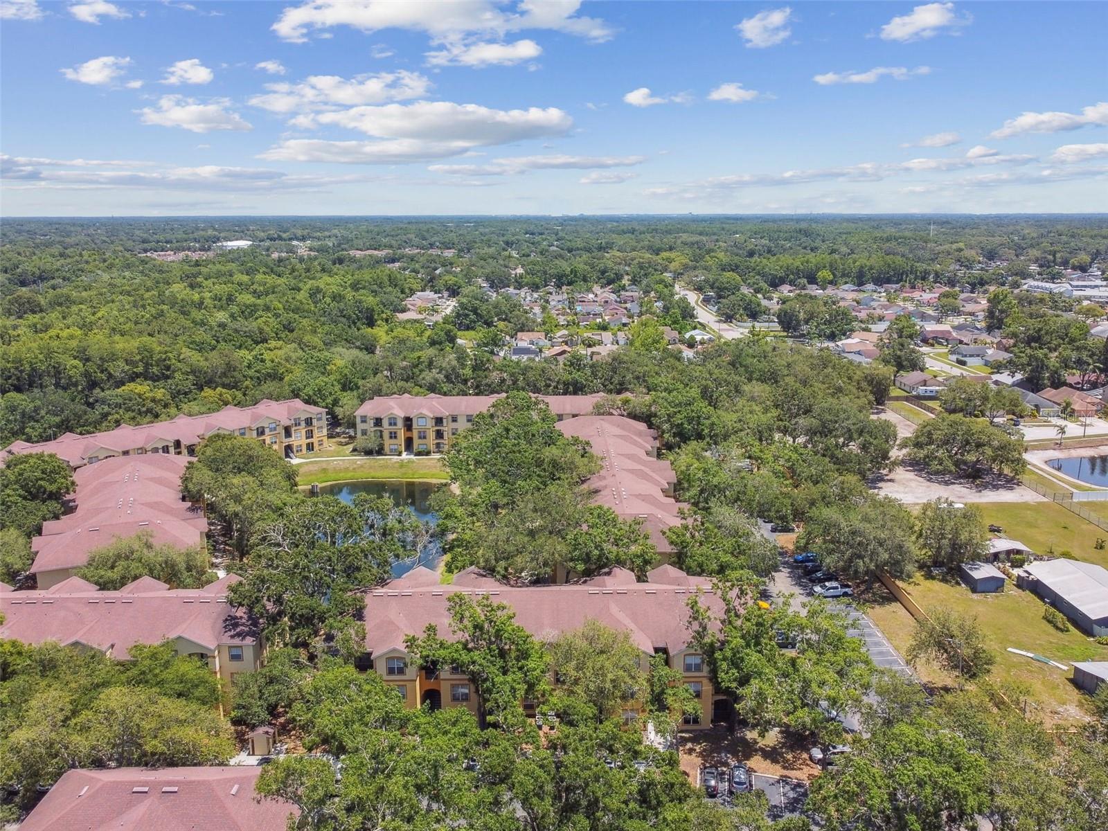 5606 PINNACLE HEIGHTS CIR #304, TAMPA, FL, 33624
