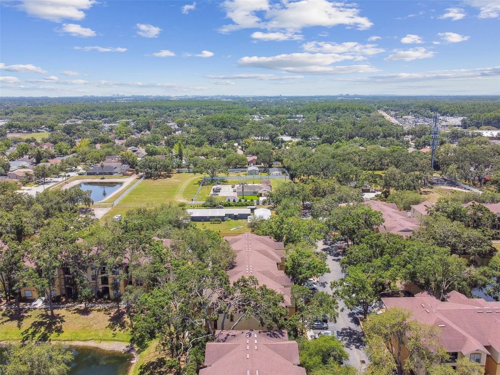 5606 PINNACLE HEIGHTS CIR #304, TAMPA, FL, 33624
