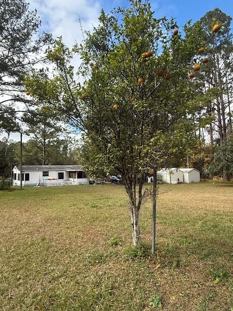 9236 WEST ST, BROOKSVILLE, FL, 34601