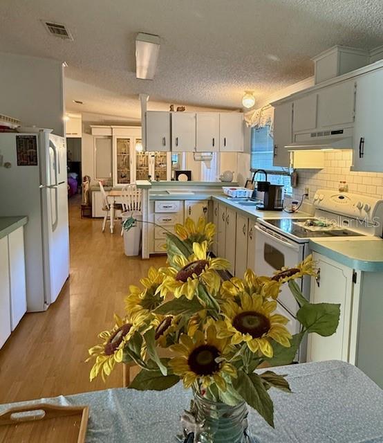 9236 WEST ST, BROOKSVILLE, FL, 34601