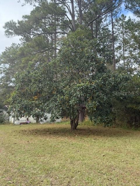 9236 WEST ST, BROOKSVILLE, FL, 34601