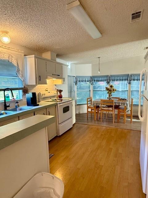 9236 WEST ST, BROOKSVILLE, FL, 34601