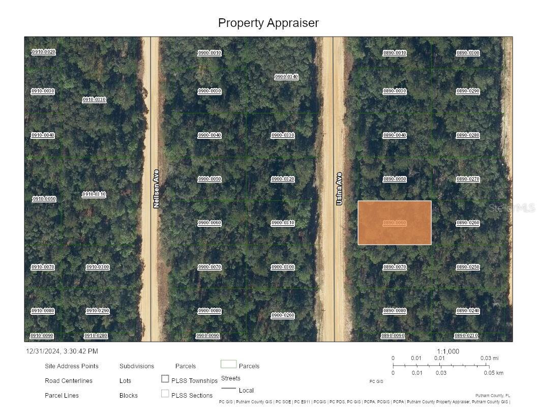 USINA AVE, INTERLACHEN, FL, 32148