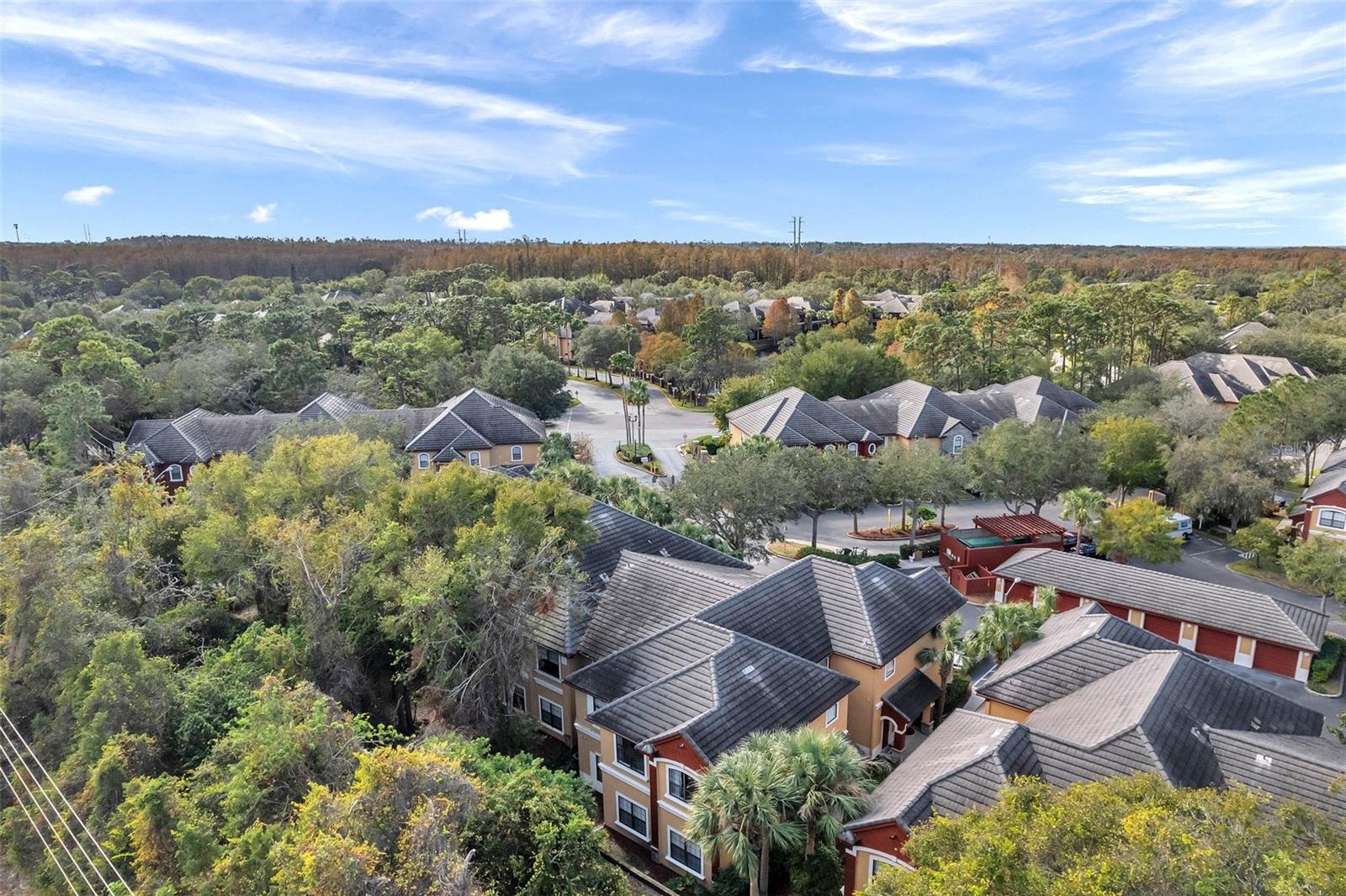 2279 PORTOFINO PL #20-2025, PALM HARBOR, FL, 34683