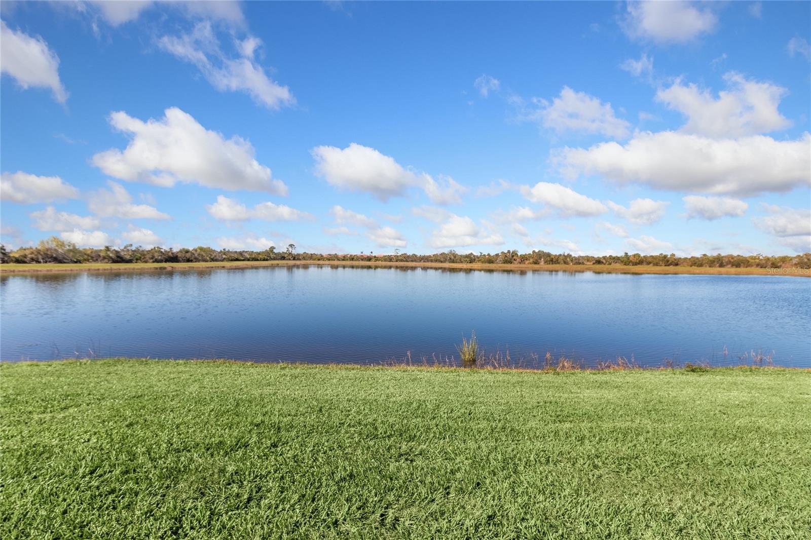 23817 WAVERLY CIR, VENICE, FL, 34293