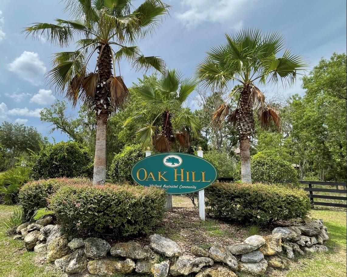 2385 CR 243B, WILDWOOD, FL, 34785