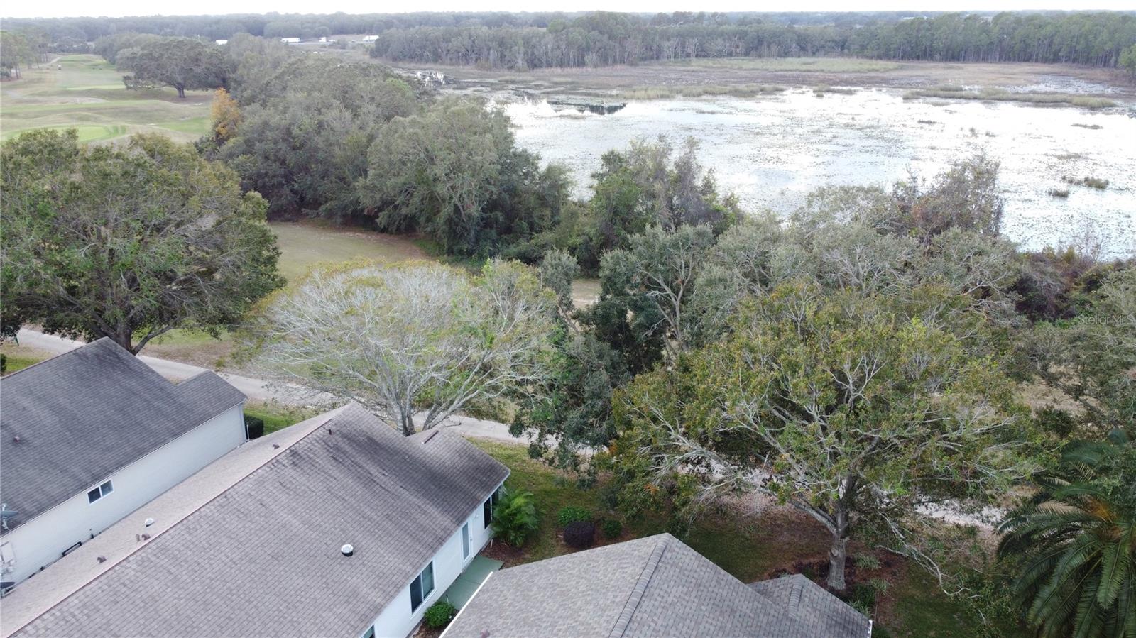 25001 CRANES ROOST CIR, LEESBURG, FL, 34748