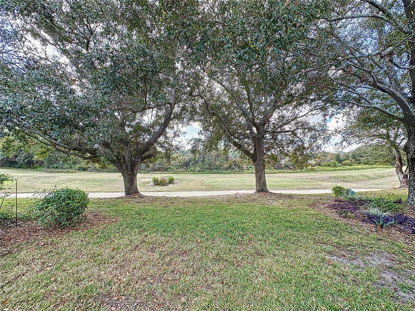 25001 CRANES ROOST CIR, LEESBURG, FL, 34748