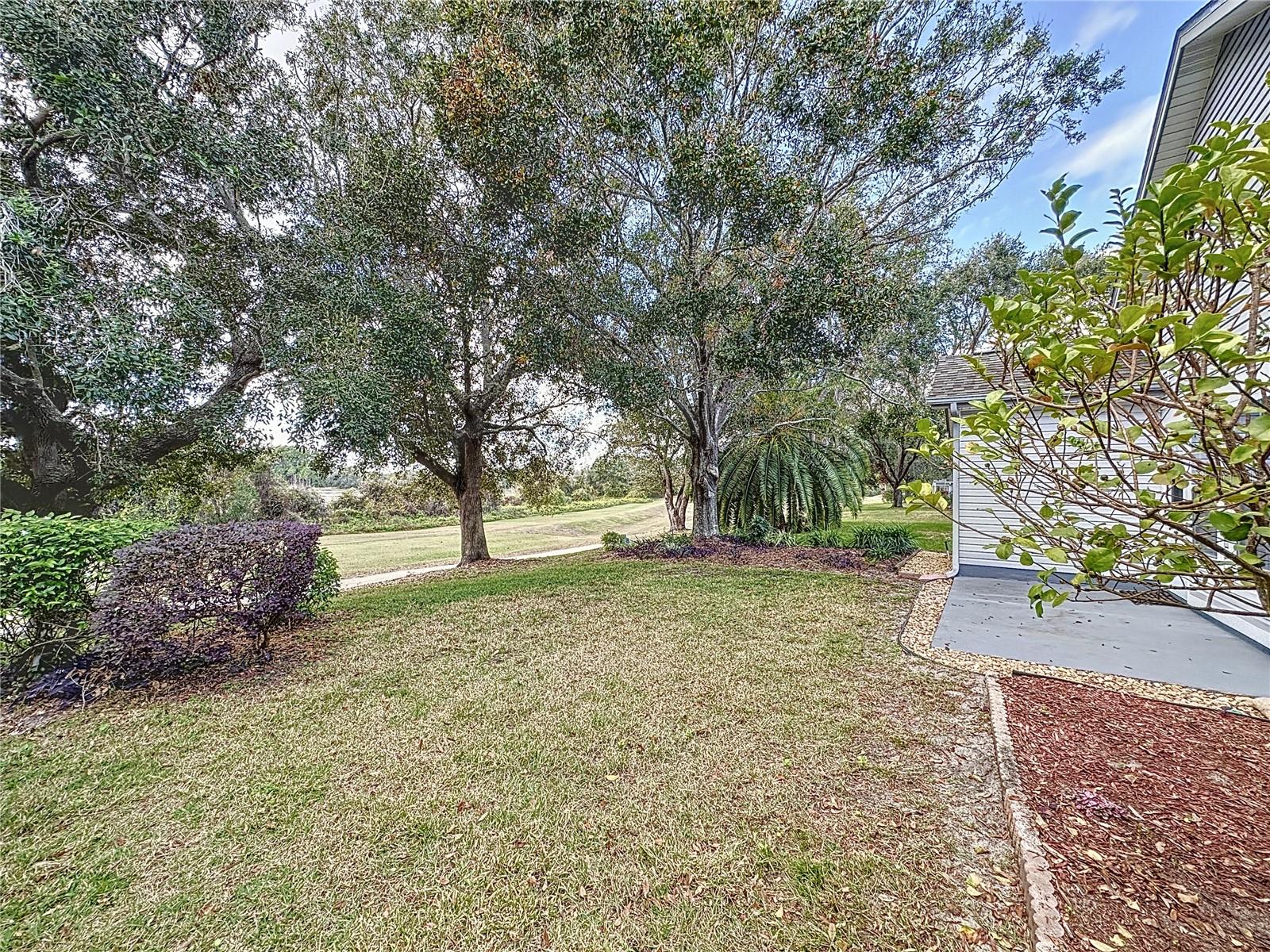 25001 CRANES ROOST CIR, LEESBURG, FL, 34748