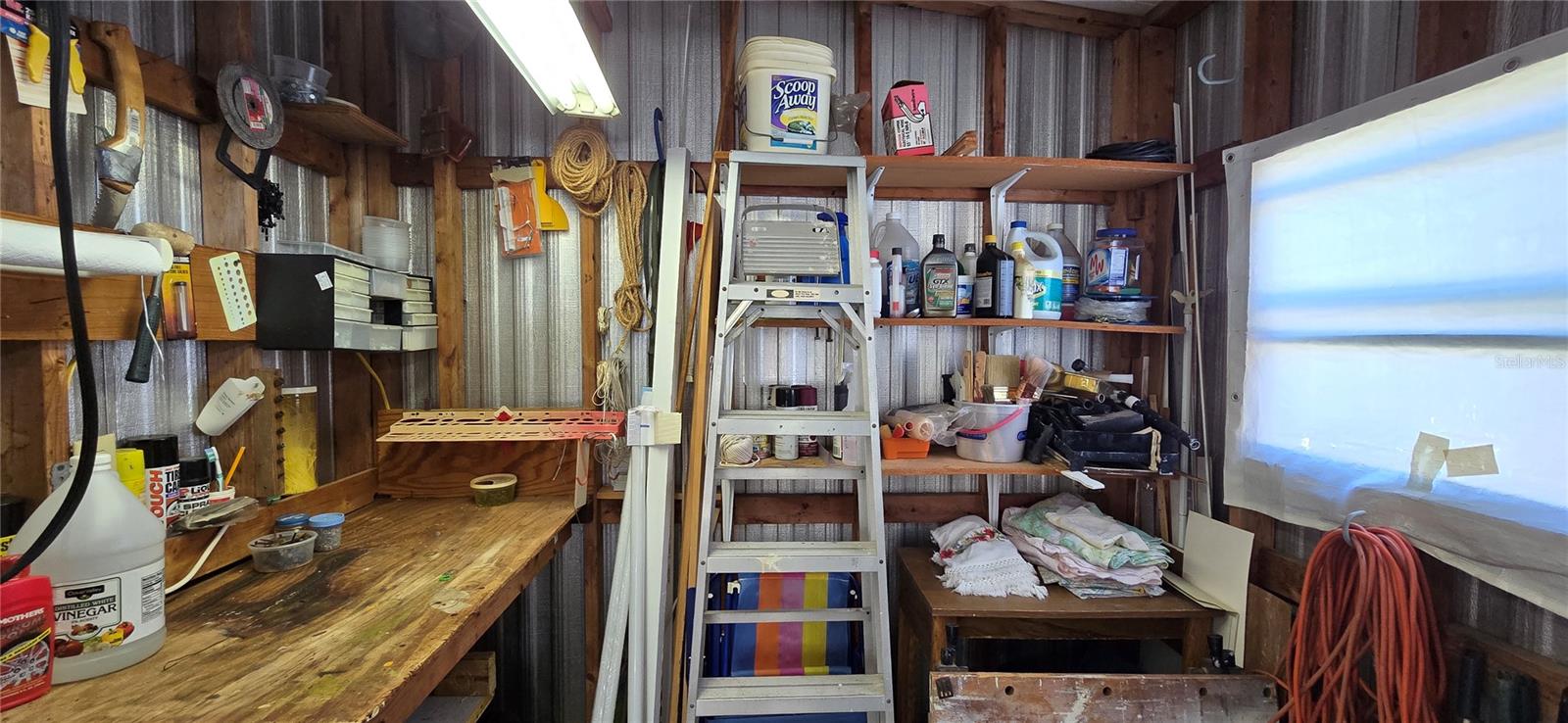 810 OAKWOOD CIR, WILDWOOD, FL, 34785