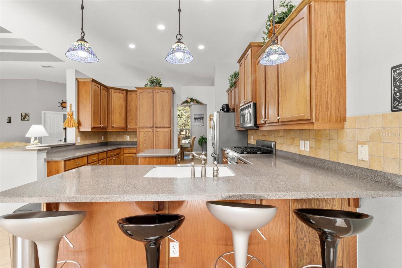 1376 E CLEVELAND ST, HERNANDO, FL, 34442