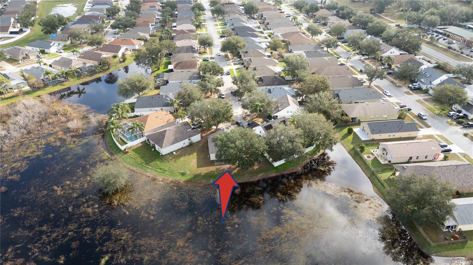 24311 BREEZY OAK CT, LUTZ, FL, 33559