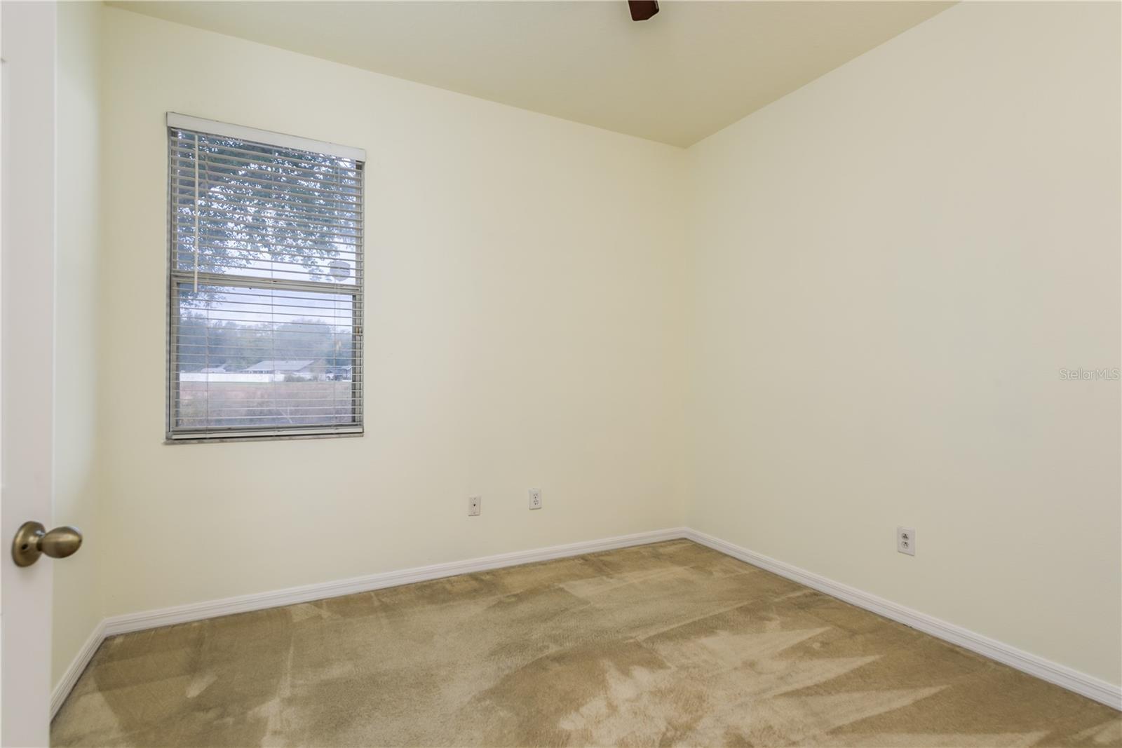 24311 BREEZY OAK CT, LUTZ, FL, 33559