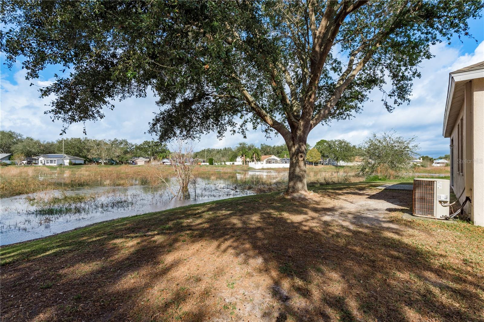 24311 BREEZY OAK CT, LUTZ, FL, 33559