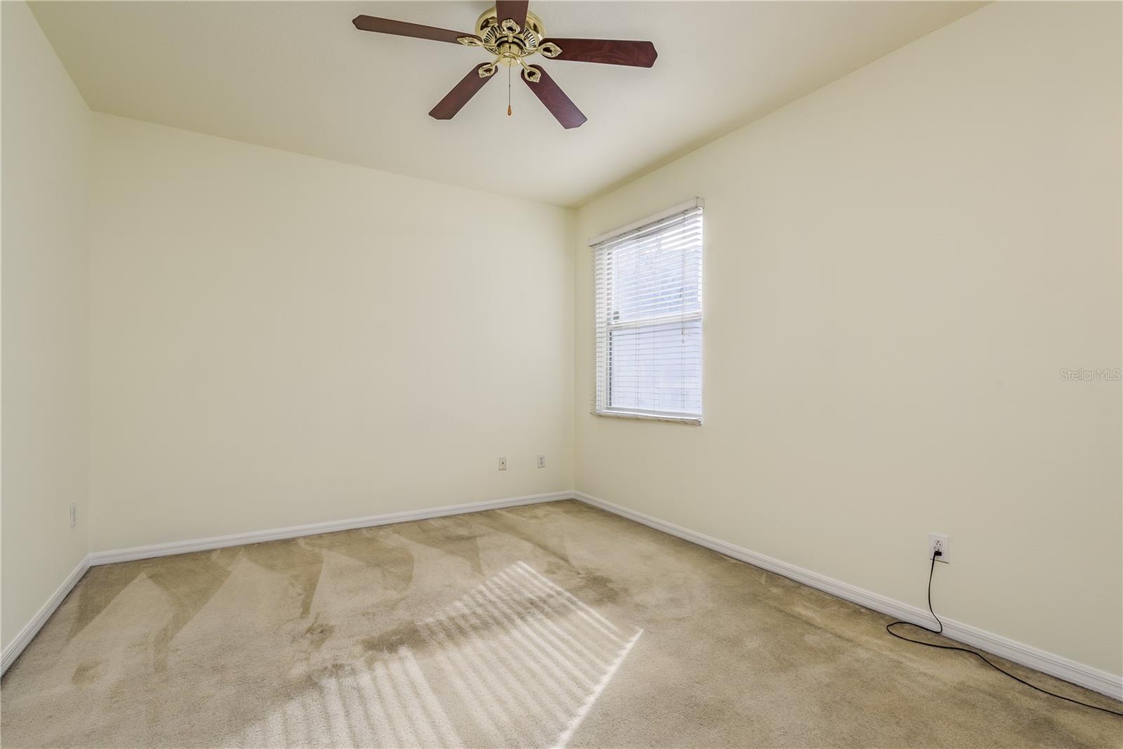24311 BREEZY OAK CT, LUTZ, FL, 33559