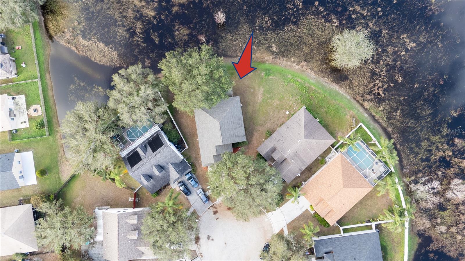 24311 BREEZY OAK CT, LUTZ, FL, 33559