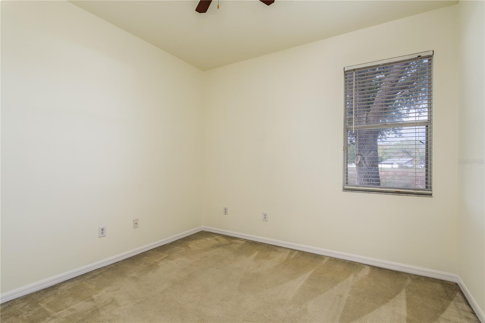 24311 BREEZY OAK CT, LUTZ, FL, 33559