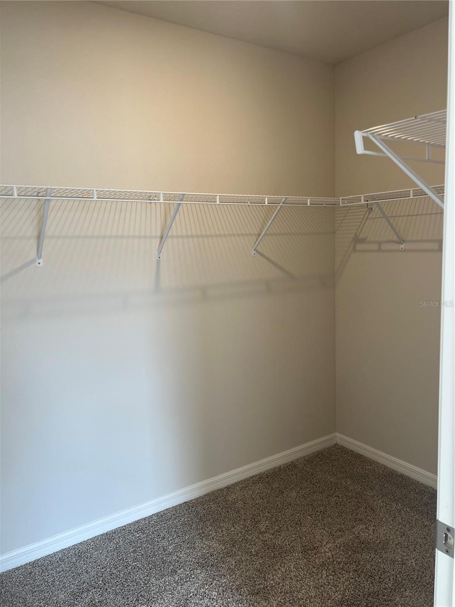 3050 FORREST PLUM CT, ZEPHYRHILLS, FL, 33540