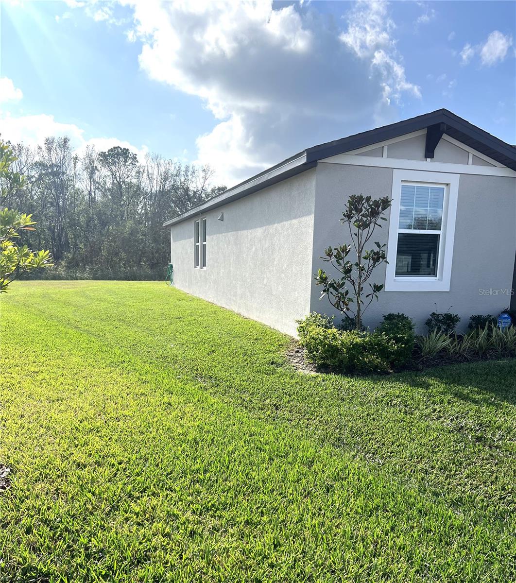 3050 FORREST PLUM CT, ZEPHYRHILLS, FL, 33540