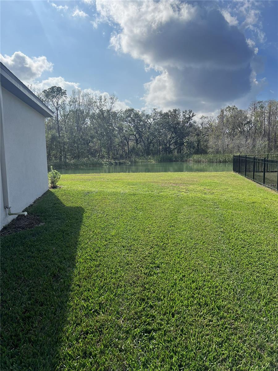 3050 FORREST PLUM CT, ZEPHYRHILLS, FL, 33540