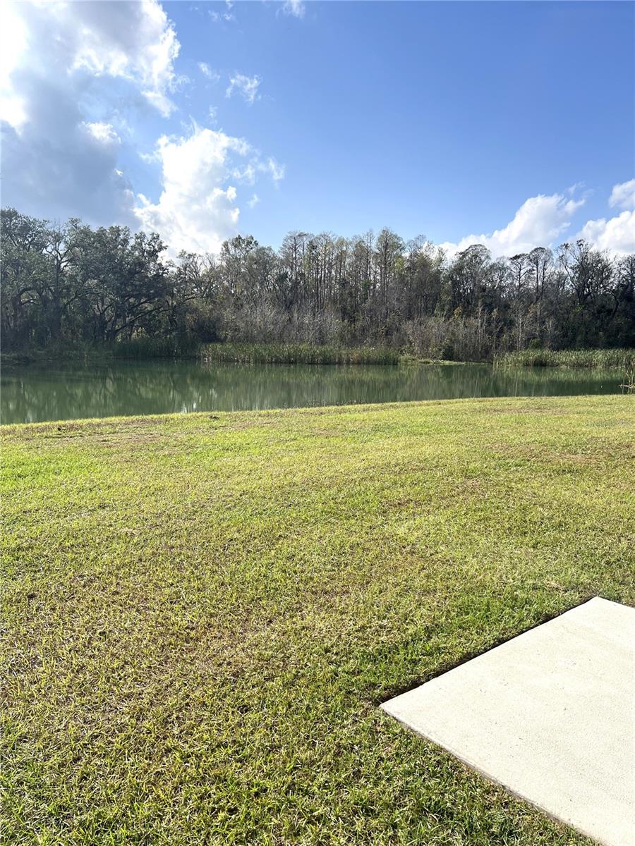 3050 FORREST PLUM CT, ZEPHYRHILLS, FL, 33540
