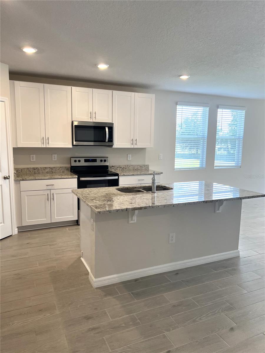 3050 FORREST PLUM CT, ZEPHYRHILLS, FL, 33540