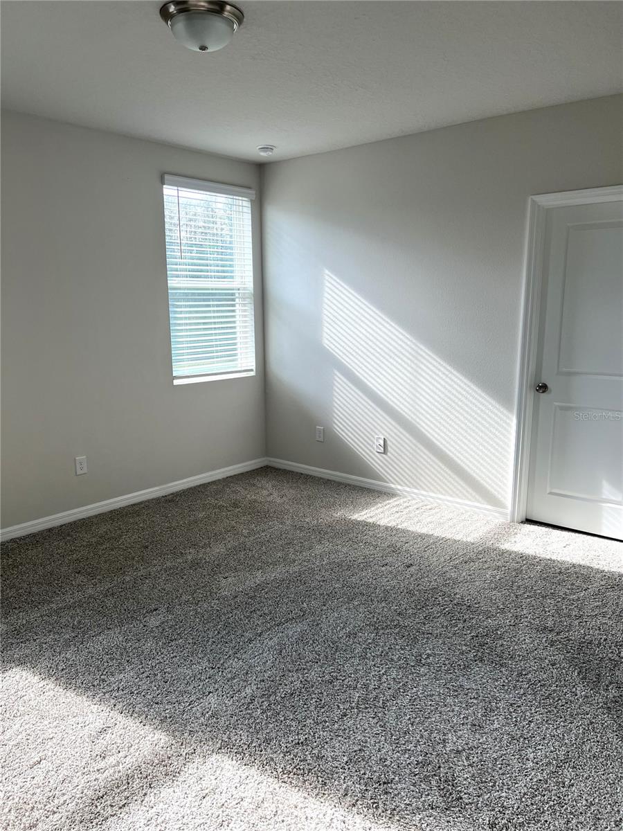 3050 FORREST PLUM CT, ZEPHYRHILLS, FL, 33540