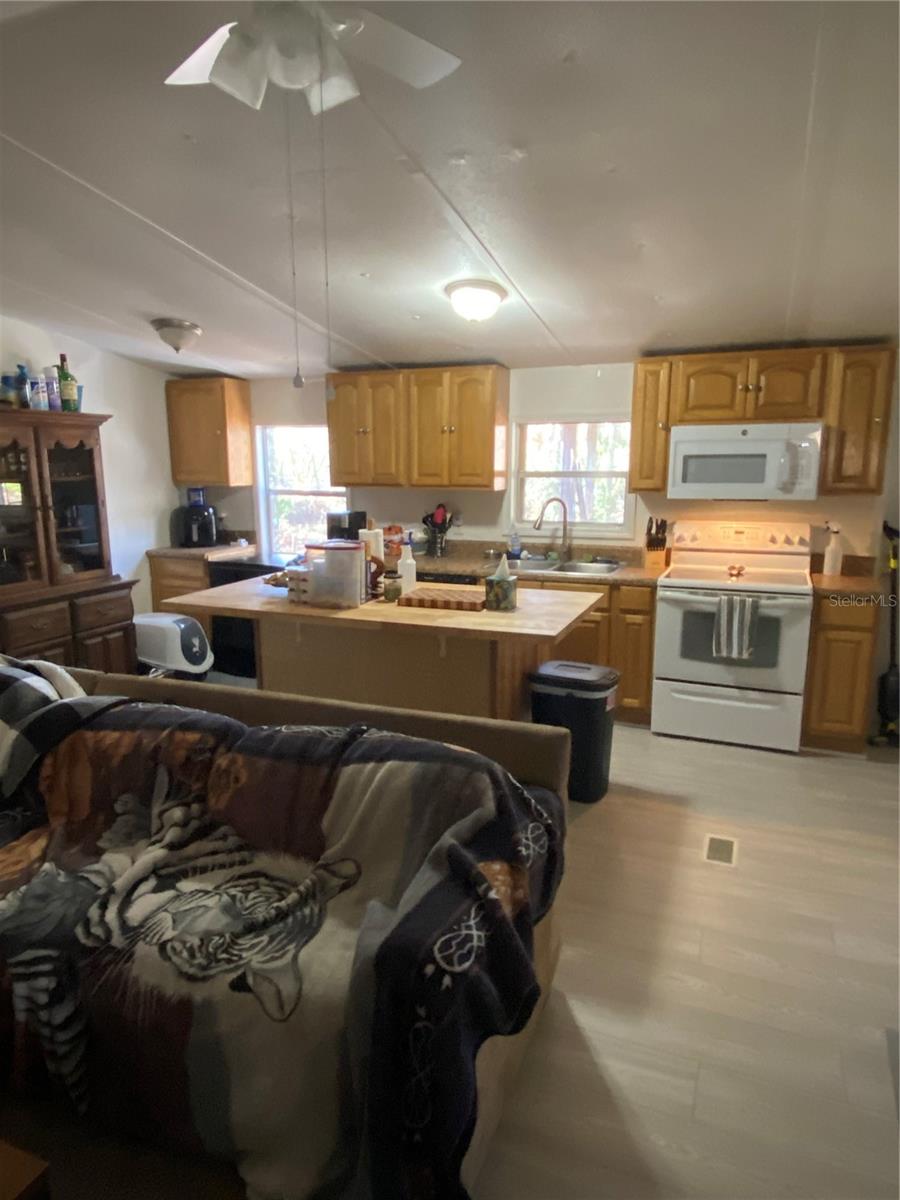 11390 NW 114TH TER, CHIEFLAND, FL, 32626