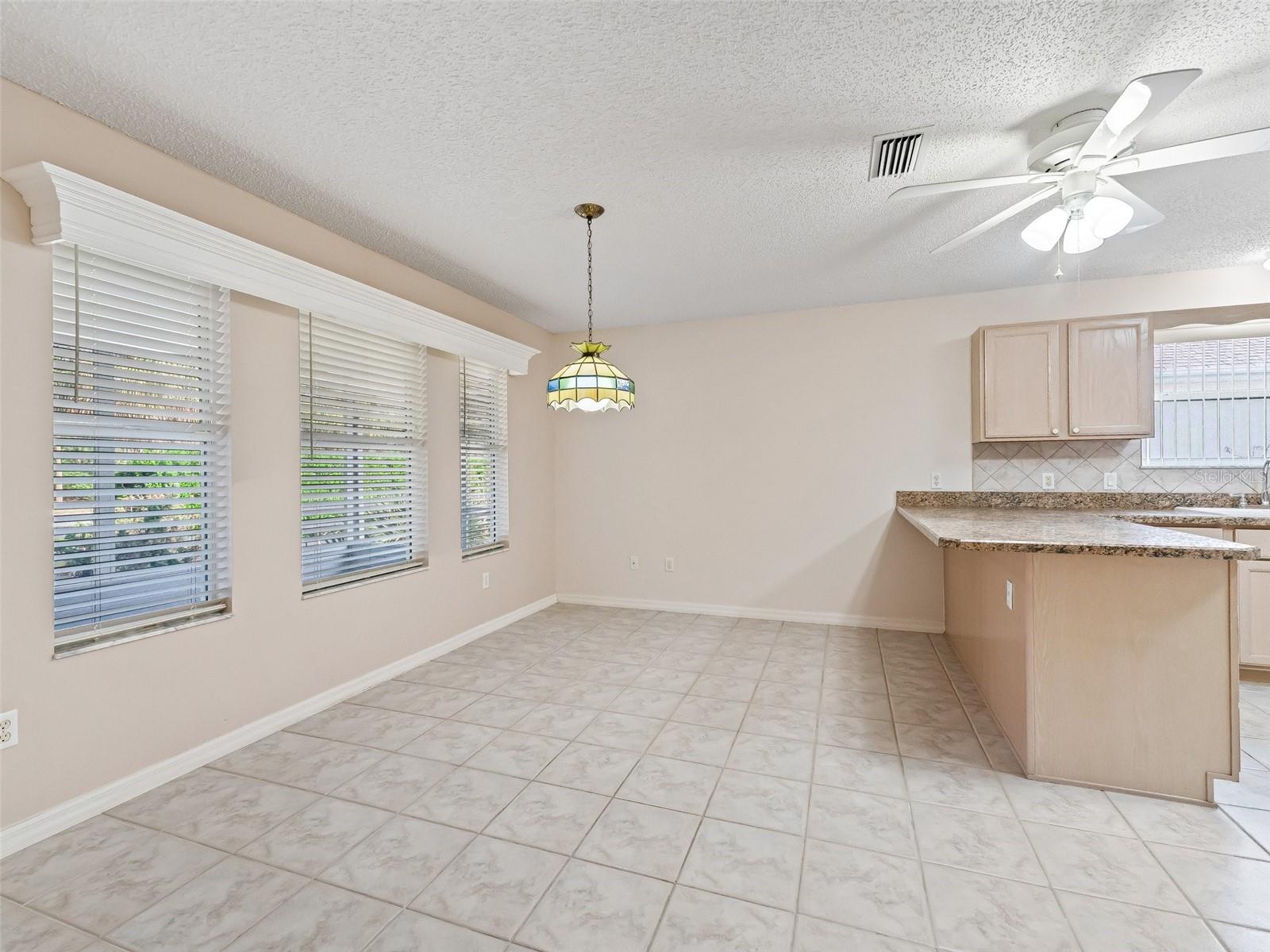 2238 MARGARITA DR, THE VILLAGES, FL, 32159