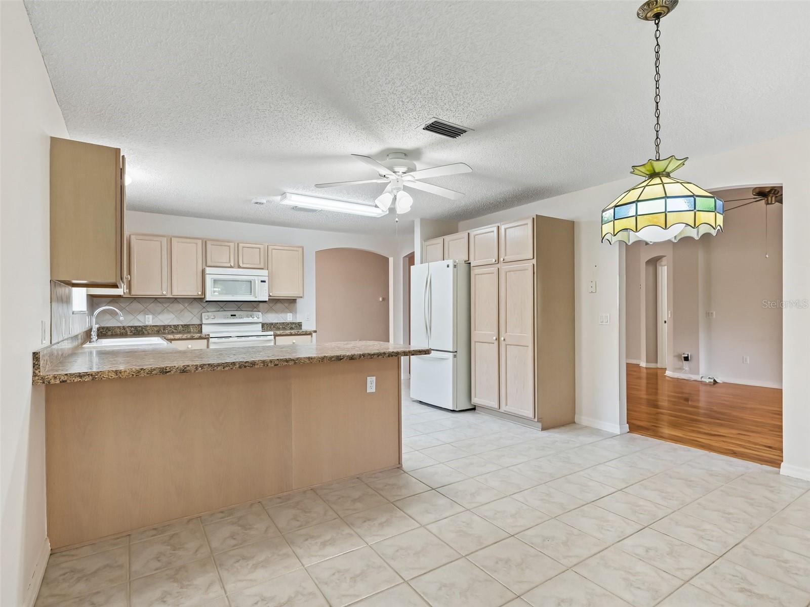 2238 MARGARITA DR, THE VILLAGES, FL, 32159