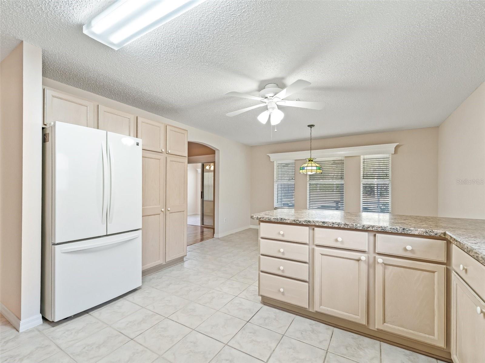 2238 MARGARITA DR, THE VILLAGES, FL, 32159