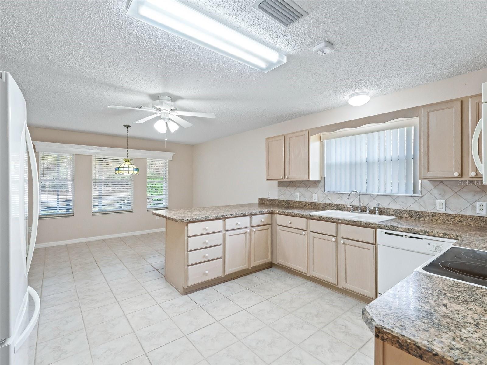 2238 MARGARITA DR, THE VILLAGES, FL, 32159
