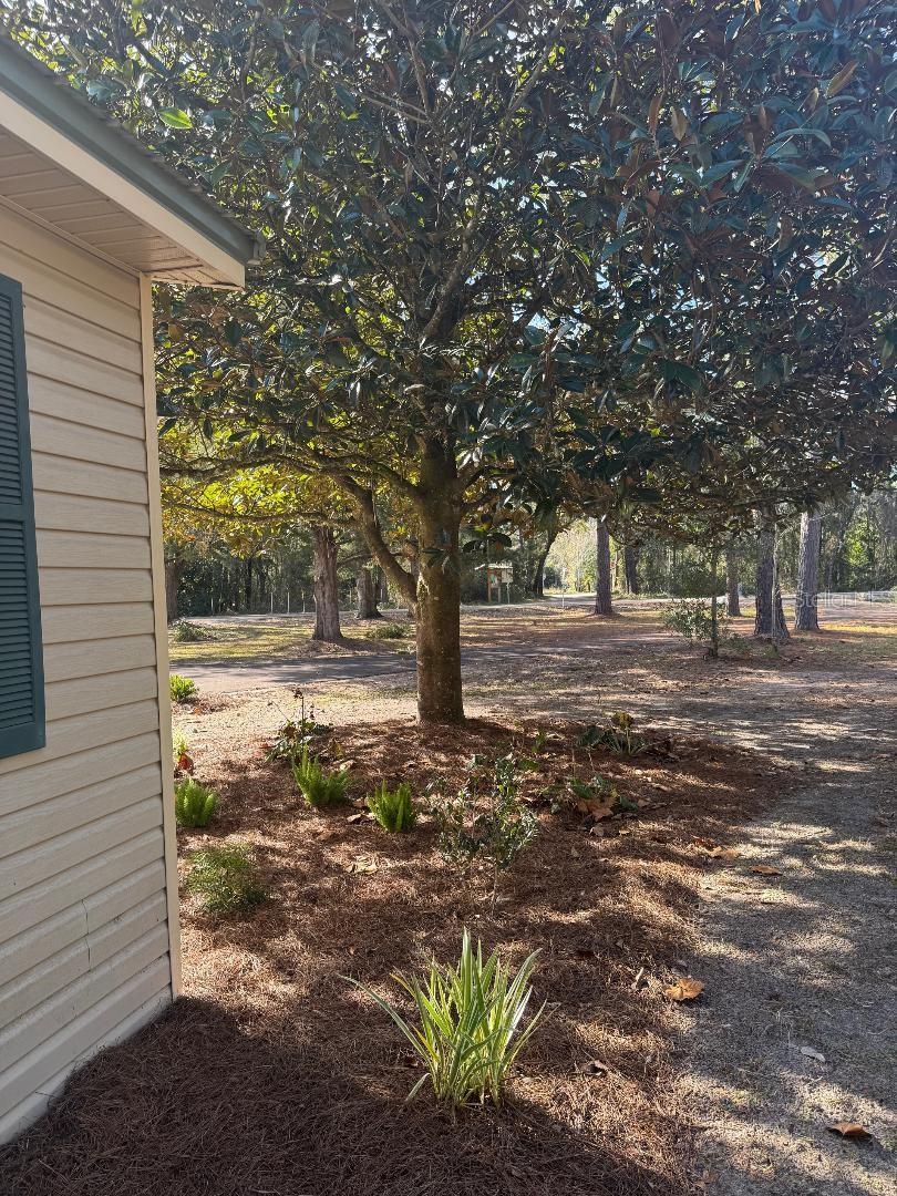 20209 NW 49 TER, LA CROSSE, FL, 32658