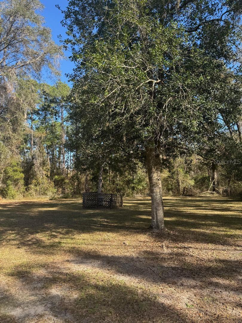 20209 NW 49 TER, LA CROSSE, FL, 32658